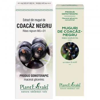 Extract din muguri de coacaz negru PlantExtrakt - 50 ml